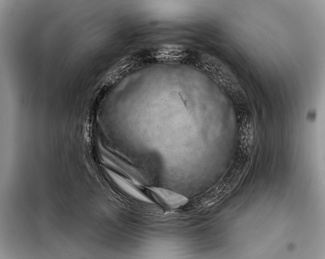 X0000097950755200804071005