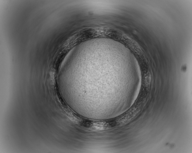 X0000097950757200804071005