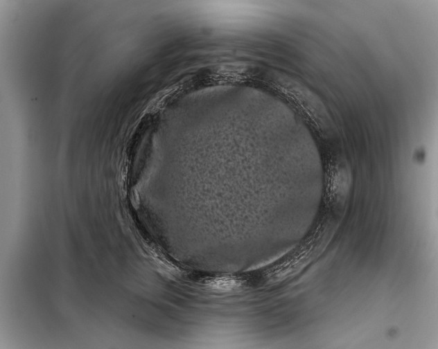 X0000097950759200804071005