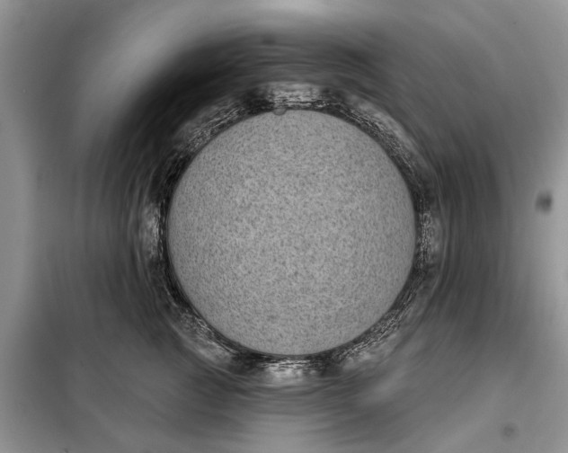 X0000097950761200804071005