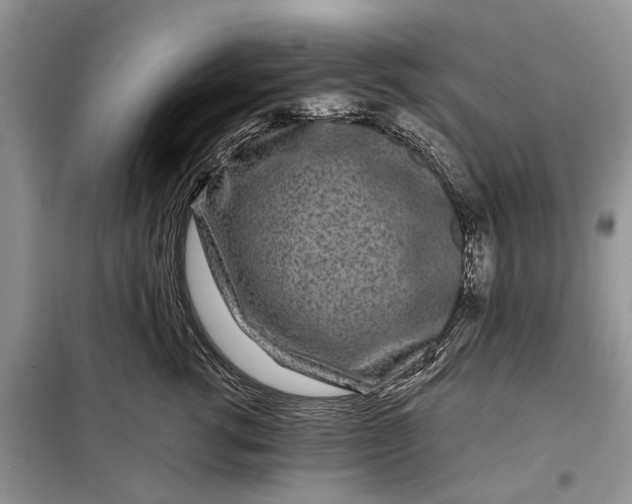 X0000097950762200804071005