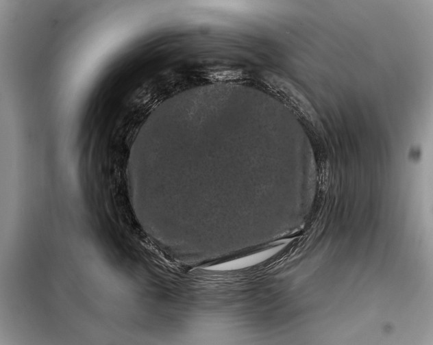 X0000097950763200804071005
