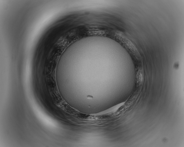 X0000097950764200804071005