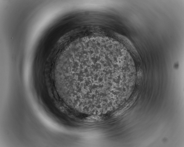 X0000097950765200804071005