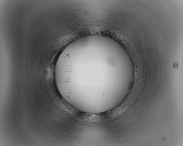 X0000097950768200804071005