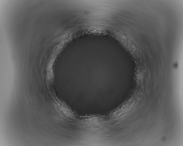X0000097950769200804071004