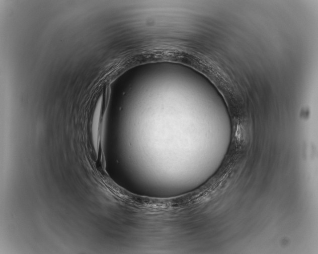 X0000097950771200804071004