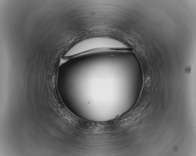 X0000097950772200804071004