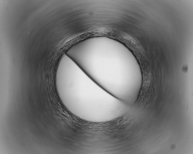 X0000097950773200804071004