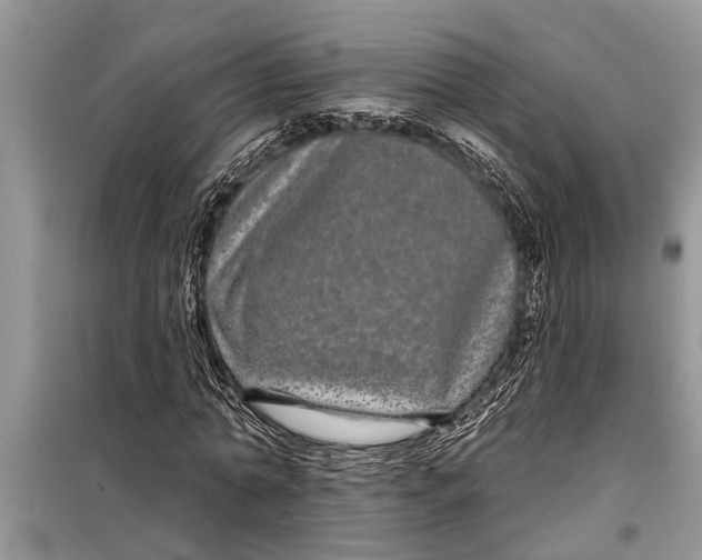X0000097950774200804071004