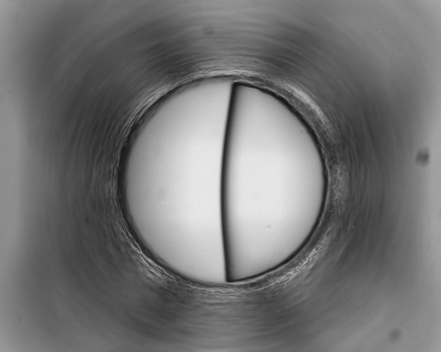 X0000097950777200804071004