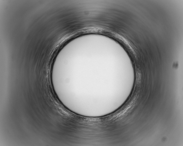 X0000097950778200804071004