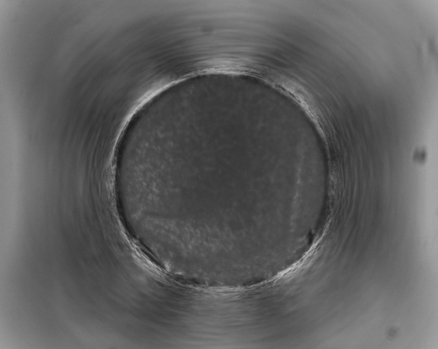 X0000097950779200804071004