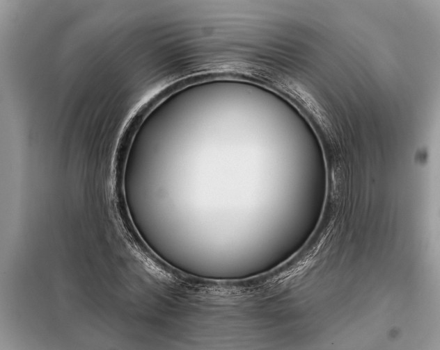 X0000097950780200804071004
