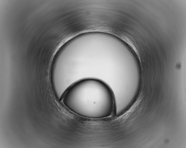 X0000097950781200804071004