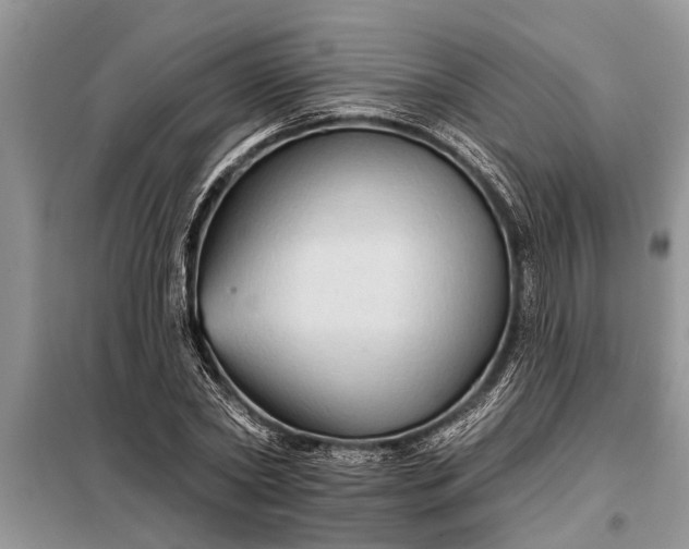 X0000097950782200804071004