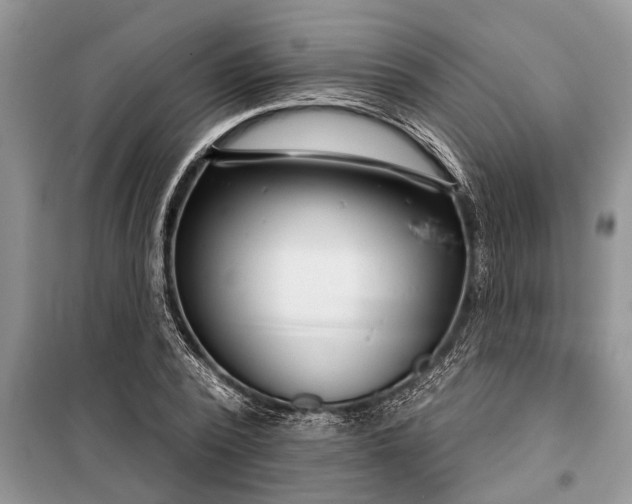 X0000097950784200804071003
