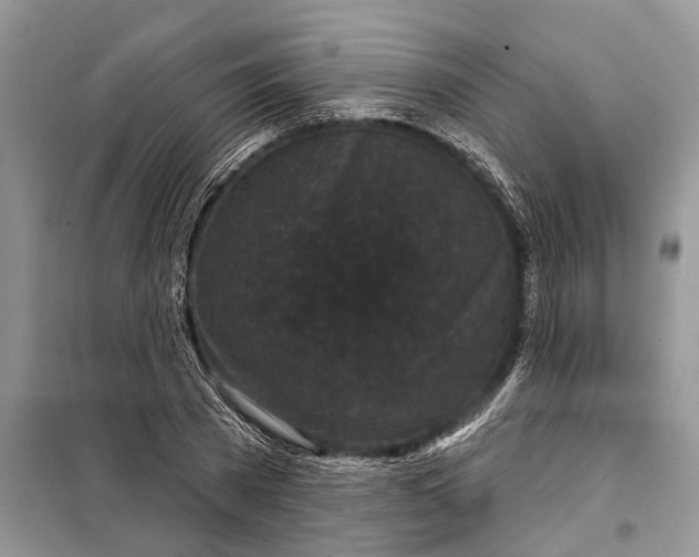 X0000097950785200804071003