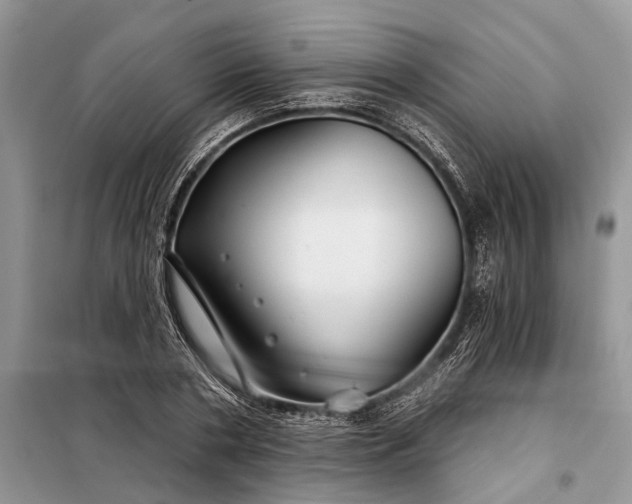 X0000097950786200804071003
