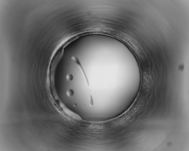 X0000097950788200804071003
