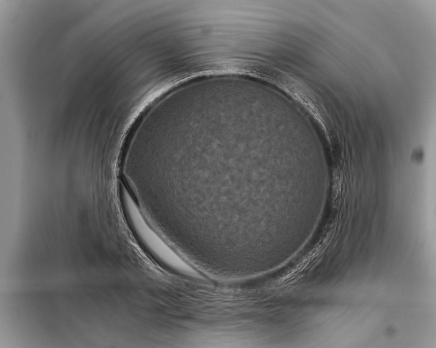 X0000097950789200804071003