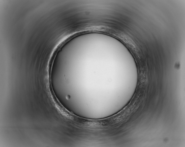 X0000097950792200804071003
