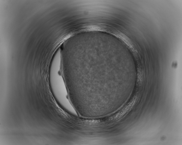 X0000097950793200804071003