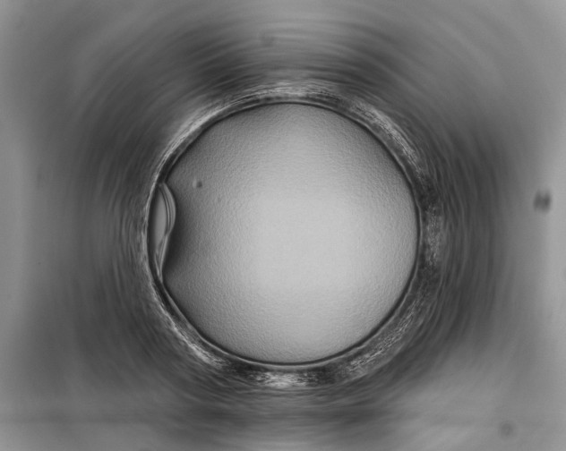 X0000097950794200804071003
