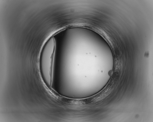 X0000097950795200804071003