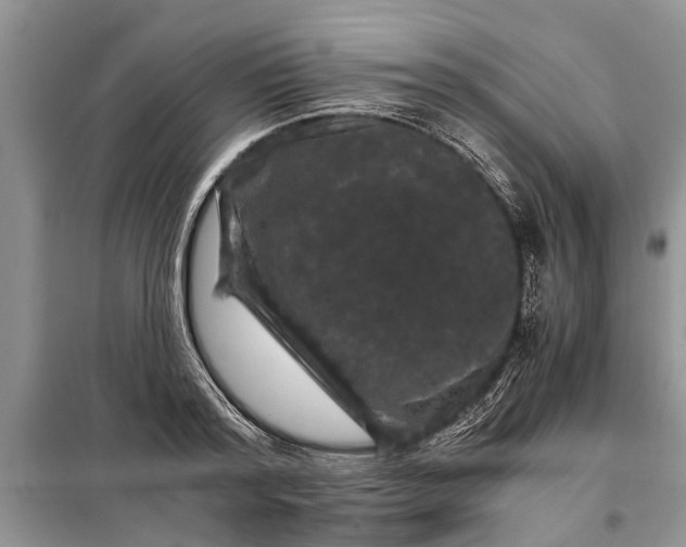 X0000097950796200804071003