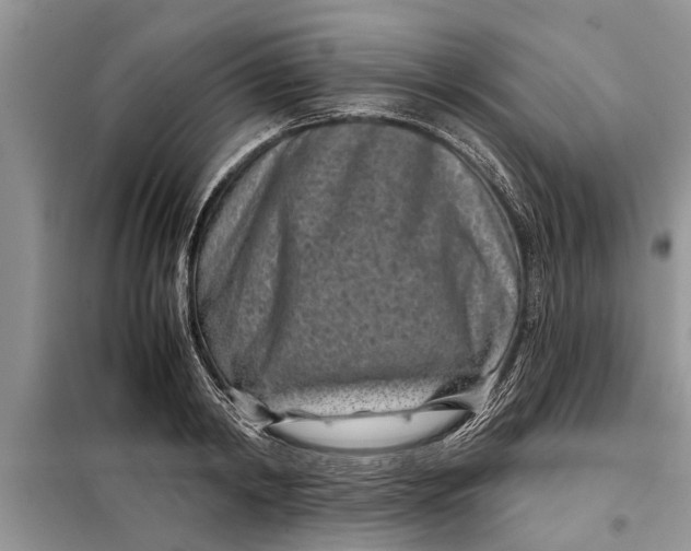 X0000097950798200804071003
