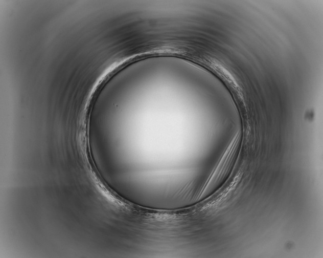 X0000097950800200804071003
