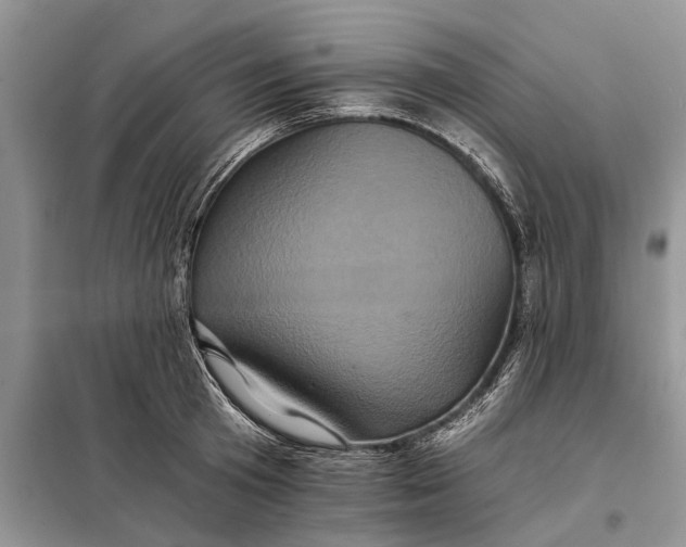 X0000097950801200804071003