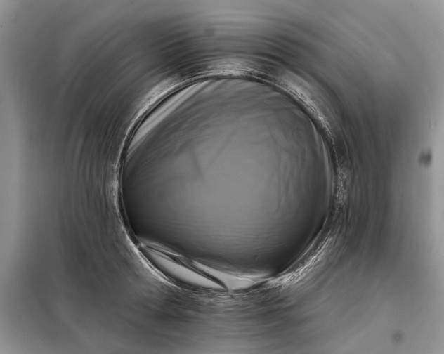 X0000097950802200804071003
