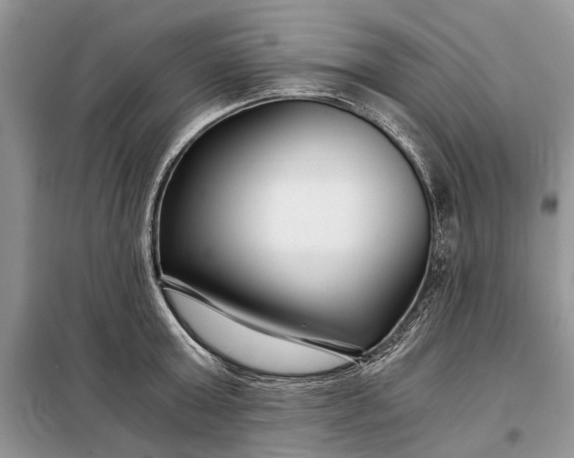 X0000097950803200804071003