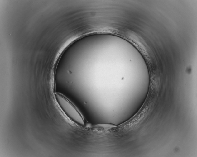 X0000097950804200804071003