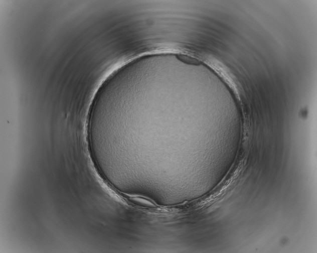 X0000097950805200804071003