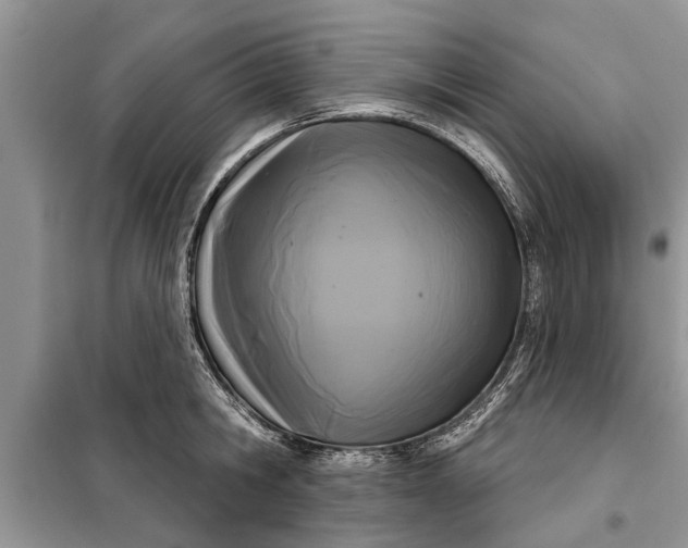 X0000097950806200804071003