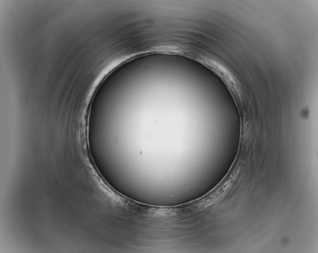 X0000097950808200804071003