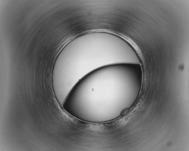 X0000097950809200804071003