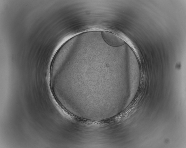 X0000097950811200804071003