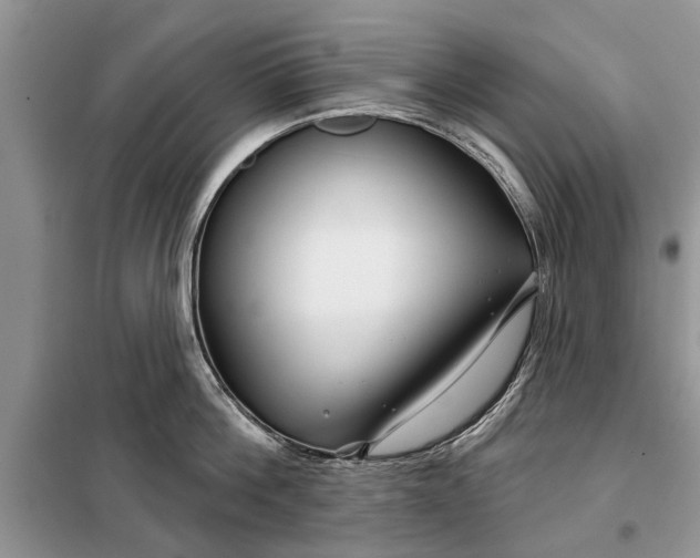 X0000097950812200804071003