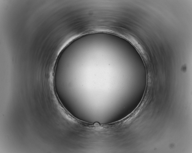 X0000097950814200804071003