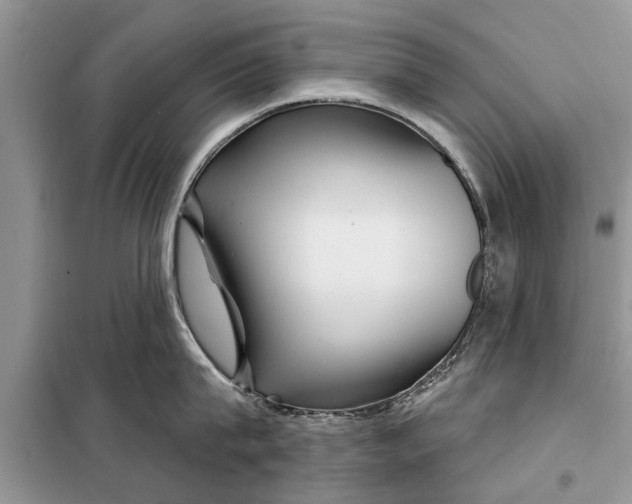 X0000097950815200804071003