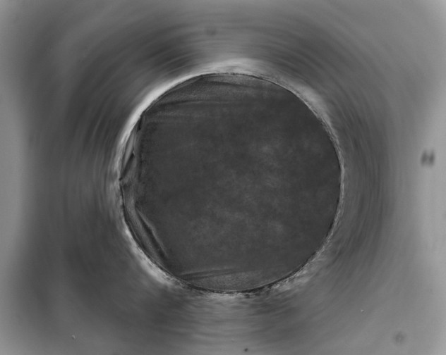 X0000097950816200804071003