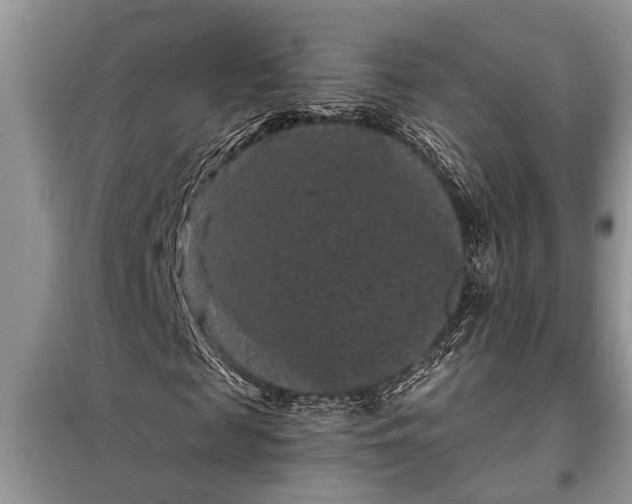 X0000097950817200804071002