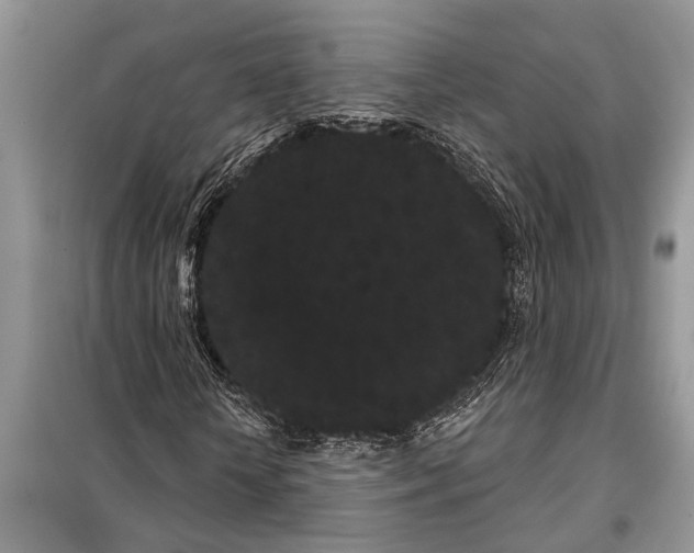 X0000097950818200804071002
