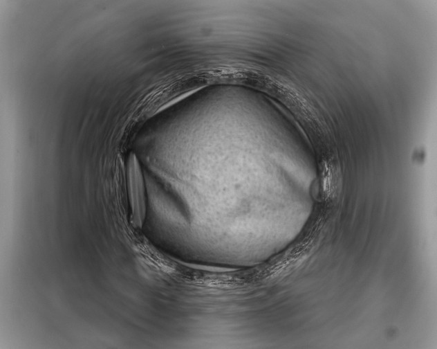 X0000097950819200804071002