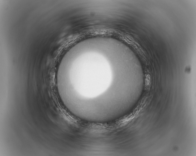 X0000097950820200804071002