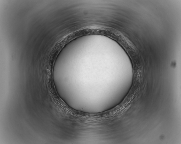 X0000097950821200804071002